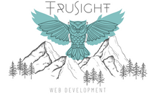 Trusight digital marketing agency freelance Logo